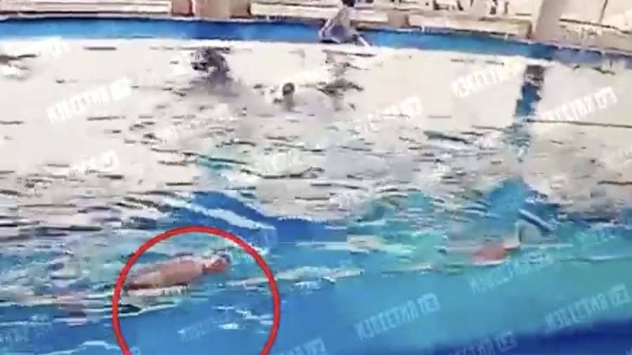 Художник утонул в бассейне. Делакруа гамлет гравюры. Художник утонул. Художник утонул. Мужчина тонет.