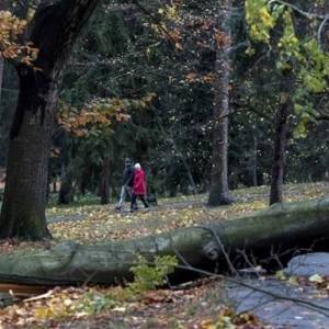 В Чехии 300 тысяч домов остались без света из-за урагана - reporter-ua.com - Чехия