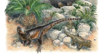 Размером с курицу. Ученые открыли старейшего плотоядного динозавра (фото) - focus.ua - Украина - Англия - Острова