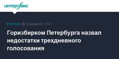 Элла Памфилова - Горизбирком Петербурга назвал недостатки трехдневного голосования - interfax - Москва - Санкт-Петербург