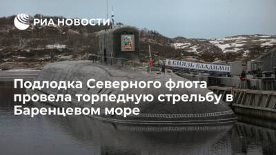 Атомная подлодка Северного флота провела торпедную стрельбу в Баренцевом море - ria - Москва - Россия