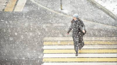 Роман Вильфанд - Почти два миллиметра снега выпало в Москве в среду - vm - Москва - Россия