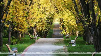 Ботанический сад закроет осенний сезон подарками и квест-охотой - belta.by - Белоруссия - Минск