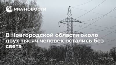 В Новгородской области около двух тысяч человек остались без света из-за снегопада - ria - Санкт-Петербург - Новгородская обл.