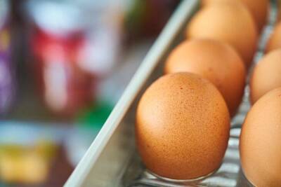 Как нельзя закладывать яйца в холодильник: многие хозяйки допускают вопиющую ошибку - skuke.net