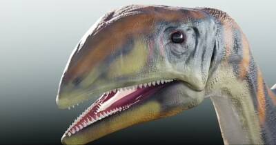 Холодная кость. В Гренландии нашли новый вид динозавра, который был 4 метра в длину и весил до тонны - focus.ua - Украина - Гренландия - Европа