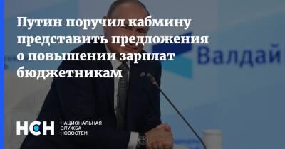 Владимир Путин - Путин поручил кабмину представить предложения о повышении зарплат бюджетникам - nsn - Россия