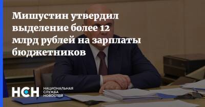 Михаил Мишустин - Мишустин утвердил выделение более 12 млрд рублей на зарплаты бюджетников - nsn - Россия