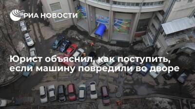 Павел Уткин - Юрист Уткин: если машину во дворе повредили дети, нужно обращаться к участковому - ria - Москва - Россия