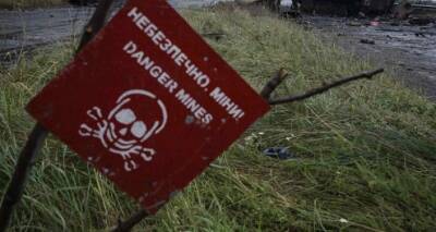 За год почти 90 мирных жителей подорвались на противопехотных минах в Луганской области - cxid.info - Украина - Луганская обл.