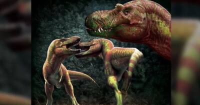 Миллиарды тираннозавров и неизвестные виды. Топ-10 открытий о динозаврах, сделанные в 2021 году - focus.ua - Украина