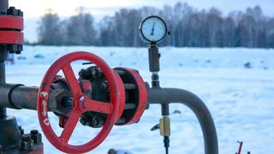 Станислав Митрахович - В Германии заявили о выполнении Россией своих контрактных обязательств по поставкам газа - obzor.lt - Россия - Украина - Германия - Берлин - Европа