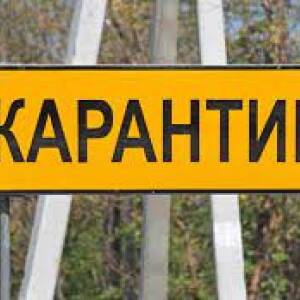 На территории двух общин в Запорожском районе ввели карантин: причина - reporter-ua.com