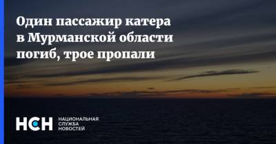Один пассажир катера в Мурманской области погиб, трое пропали - nsn - Россия - Мурманская обл. - Судно