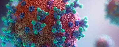 Энтони Фаучи - Суточная заболеваемость коронавирусом в США выросла почти втрое - runews24.ru - Москва - Россия - США - Финляндия