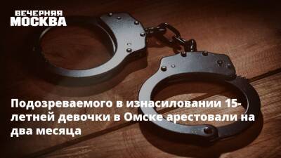 Подозреваемого в изнасиловании 15-летней девочки в Омске арестовали на два месяца - vm - Омск - Омская обл.