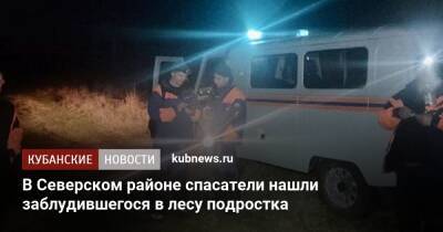 В Северском районе спасатели нашли заблудившегося в лесу подростка - kubnews.ru - Россия - Краснодарский край - район Северский