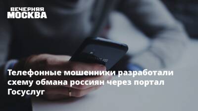 Владимир Ульянов - Телефонные мошенники разработали схему обмана россиян через портал Госуслуг - vm