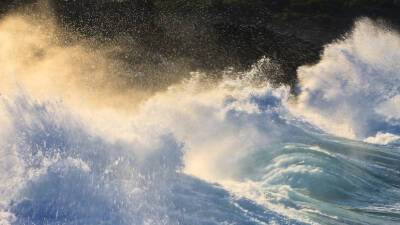 РИА Новости: на Курилах и в Японии объявлена угроза цунами - russian - Япония - Новая Зеландия - Французская Полинезия - Фиджи - Тонга