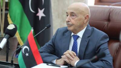 Салех: Правительство национального единства Ливии утратило легитимность 24 декабря 2021 года - inforeactor.ru - Москва - Россия - Ливия