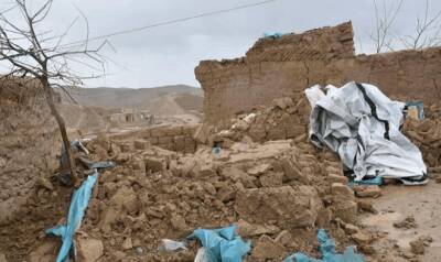 Землетрясение в Афганистане: 12 погибли, десятки раненых - eadaily - Афганистан - Герат