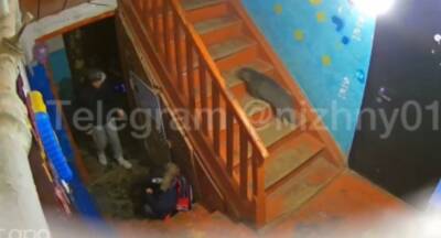 СК проверит информацию об избиении ребенка матерью в Володарском районе - vgoroden.ru - Следственный Комитет