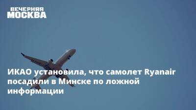 Роман Протасевич - София Сапега - ИКАО установила, что самолет Ryanair посадили в Минске по ложной информации - vm - Белоруссия - Литва - Вильнюс - Минск - Афины