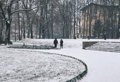 В Петербурге уже переработали на 25% снега больше, чем за весь зимний сезон прошлого года - Смольный - interfax-russia.ru - Санкт-Петербург - р-н Выборгский - Петербург