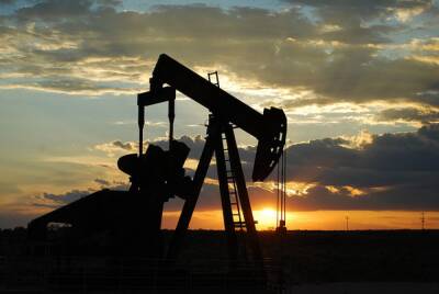 Цена нефти Urals впервые с 10 октября 2014 года превысила 87 долларов - aif - Эмираты - Абу-Даби