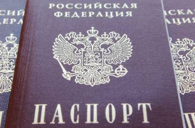 Валентина Казакова - В России будут аннулировать бумажный паспорт при выдаче электронного - ufacitynews.ru - Россия