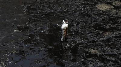Экологическая катастрофа: в Перу прошла акция протеста в зоне разлива нефти - belta.by - Белоруссия - Испания - Минск - Лима - Тонга