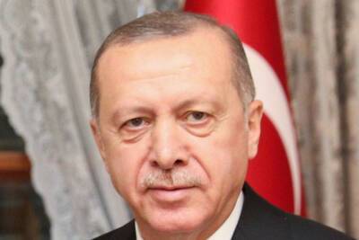 Тайип Эрдоган - Турецкую телеведущую арестовали из-за пословицы про Эрдогана - mk.ru - Турция - Twitter