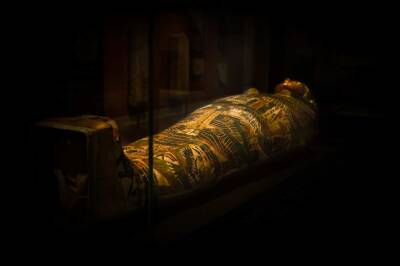 Плод в мумии «Таинственная Леди» сохранился благодаря процессу маринования - actualnews.org