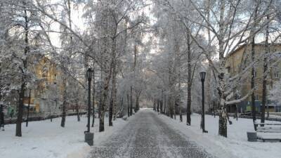 В Новосибирской области на этой неделе ожидаются 23-градусные морозы - runews24.ru - Новосибирск - Новосибирская обл.