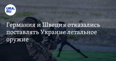 Линда Анн - Германия и Швеция отказались поставлять Украине летальное оружие - ura.news - Россия - Украина - Германия - Швеция