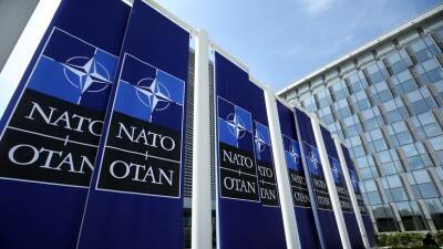 Дмитрий Песков - Депутат бундестага Гизи обвинил НАТО в обострении конфликта с Россией - russian - Россия - США - Германия