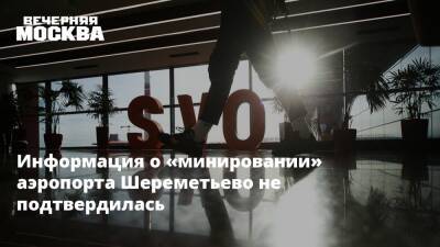 Информация о «минировании» аэропорта Шереметьево не подтвердилась - vm - Екатеринбург