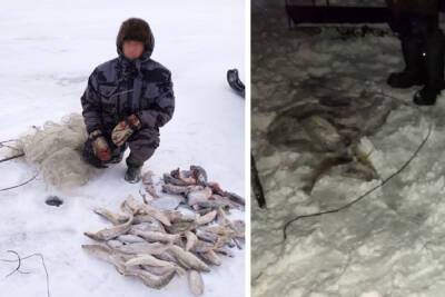 Троих браконьеров задержали за вылов рыб в Новосибирском водохранилище - novos.mk.ru - Новосибирская обл.