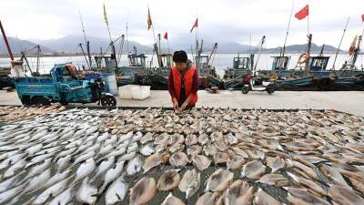 Врач назвал соленую рыбу причиной развития онкологии - iz - Китай - Израиль