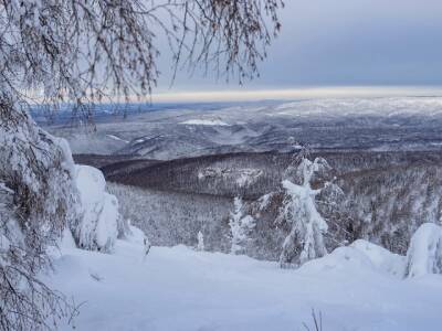 Какая погода ждет южноуральцев во вторник, 25 января - u24.ru - Челябинск