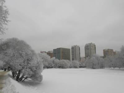 В Москве минус десять и небольшой снегопад - rosbalt - Москва