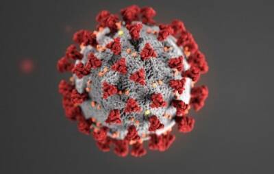 В ВОЗ допустили появление новых штаммов коронавируса - trend.az
