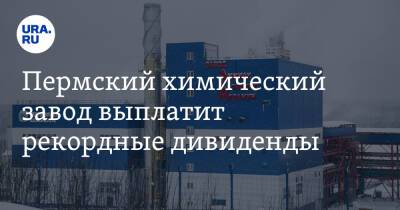 Пермский химический завод выплатит рекордные дивиденды - ura.news - Пермь - Пермский край