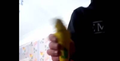 В Одессе школьники швыряли попугая об стенку: видео разлетелось по сети - politeka.net - Украина - Одесса - Одесса