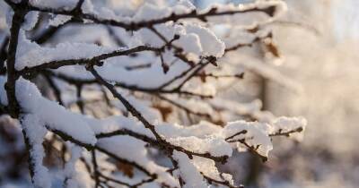 Погода в Украине на 26 января: Атмосферный фронт усилит снегопады и ветер - dsnews.ua - Украина - Киев - Киевская обл.
