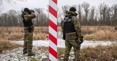Польша начала строительство "стены" на границе с Беларусью - vchaspik.ua - Украина - Белоруссия - Польша - Twitter