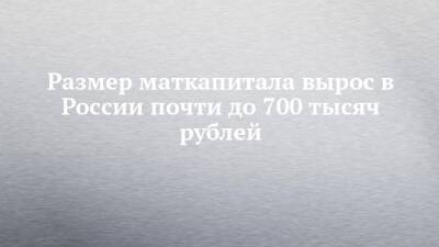 Михаил Мишустин - Размер маткапитала вырос в России почти до 700 тысяч рублей - chelny-izvest.ru - Россия