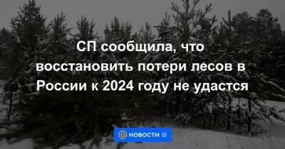 СП сообщила, что восстановить потери лесов в России к 2024 году не удастся - smartmoney.one - Россия - Томская обл.