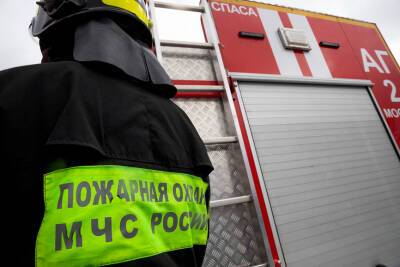 В Петрозаводске мужчина погиб на пожаре - gubdaily.ru - Петрозаводск - республика Карелия