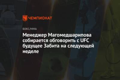 Дана Уайт - Аля Абдель - Менеджер Магомедшарипова собирается обговорить с UFC будущее Забита на следующей неделе - championat.com - Москва